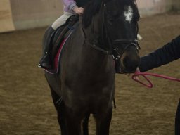 img_3888_web